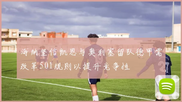 海纳坚信凯恩与奥利塞留队德甲需改革501规则以提升竞争性